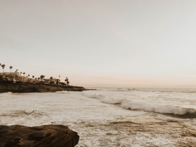 tag family cfo in la jolla