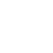 LinkedIn Icon