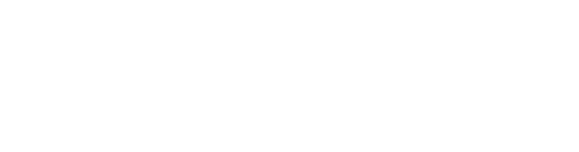 NetSuite <br>
Accountant Program