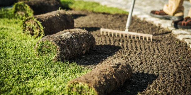 Close Up Of Worker Raking Dirt And Preparing To Install Rolls Of Soil And Turf.